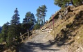 Sneeuwschoen-wandelweg...