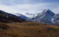 Bouquetins en Dent de Perroc