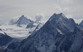 Bouquetins en Dent de Perroc
