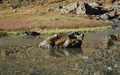 Lac de Bayenna
