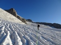 Driestgletscher