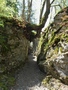 Uferweg Iseltwald-Giessbach