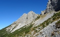 Giswilerstock