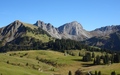 Giswilerstock