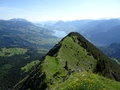 Giswilerstock