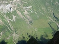 Musenalp