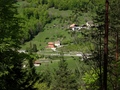Champ du Moulin