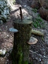 Chemin du Réservoir