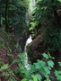 Gorges de l'Areuse