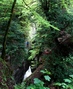 Gorges de l'Areuse