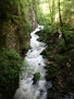 Gorges de l'Areuse