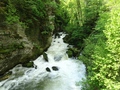 Gorges de l'Areuse