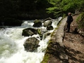 Gorges de l'Areuse