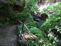 Gorges de l'Areuse