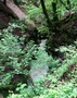 Gorges de l'Areuse