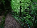 Gorges de l'Areuse