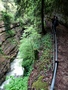 Gorges de l'Areuse