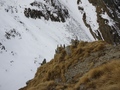 Fumadiga