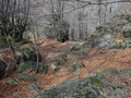 Val di Bordei