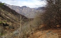 Val di Bordei