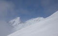 Schwarzhorn, Wildgärst