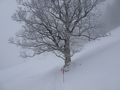 Verse sneeuw