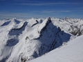 Einshorn