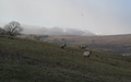 Dentdale
