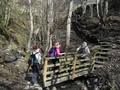 Graham's charity hike