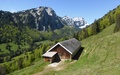 Schwinfärch