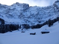 Brunnialp