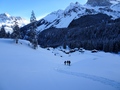 Brunnialp