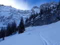 Brunnialp