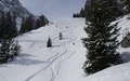 Brunnialp