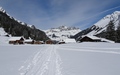 Brunnialp