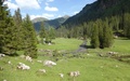 Mürtschental