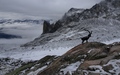 Uitzicht richting Petit Clocher du Portalet