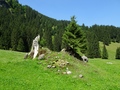 Bachboden