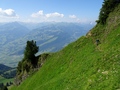 Nideri - Höchst