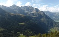 Walenstöcke