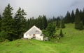 Älpe-Alpe