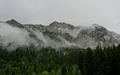 Breitenberg