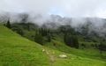 Breitenberg