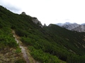 Hohe Köpfe