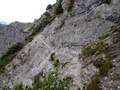 Hohe Köpfe