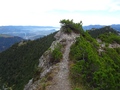 Hohe Köpfe