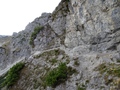 Hohe Köpfe