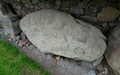 Brú na Bóinne: Knowth