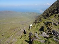 Faha Ridge