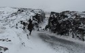 Þingvellir